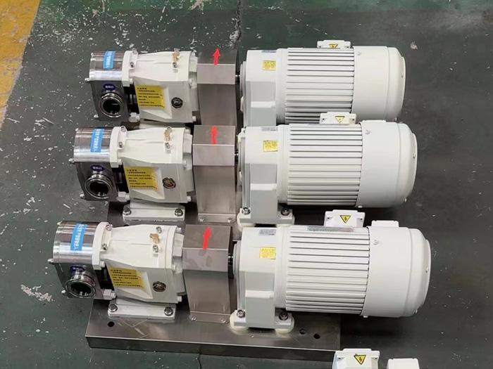 高粘度轉(zhuǎn)子泵-高粘度齒輪泵