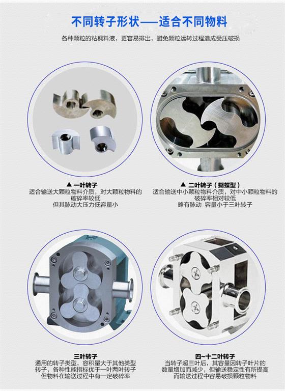 不銹鋼轉(zhuǎn)子泵